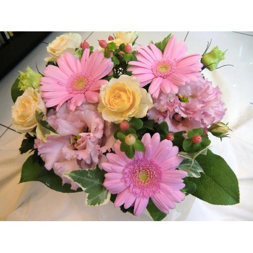 ��Pink �m�������������@��3