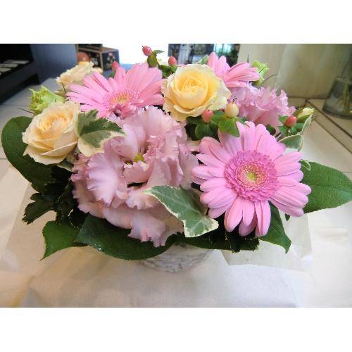 ��Pink �m�������������@��4