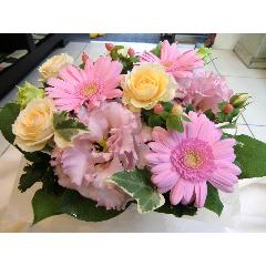 ��Pink �m�������������@��