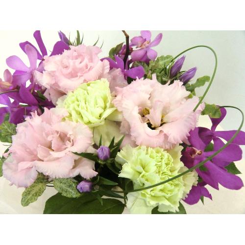 �`�G���K���g�A�����W�`2