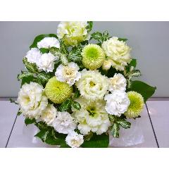 �u�������ԁv�`���^�ȃA�����W�����g