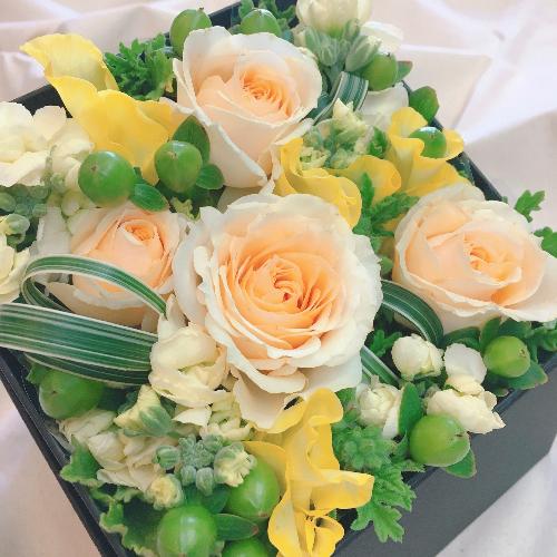�z�����l�ߍ��񂾁E�E�i�`�������a�n�w�t�����[��