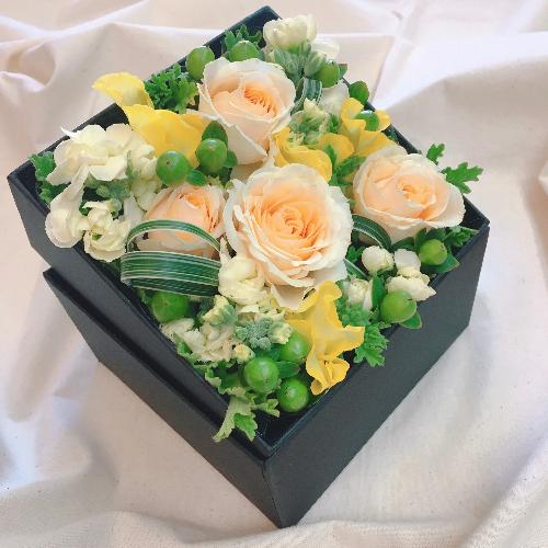 �z�����l�ߍ��񂾁E�E�i�`�������a�n�w�t�����[��2