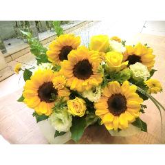 ��SUMMER�@GREEN��