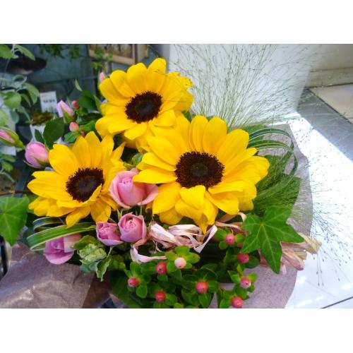 �v���e�B�[�q�}����