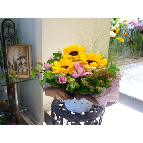 �v���e�B�[�q�}����3
