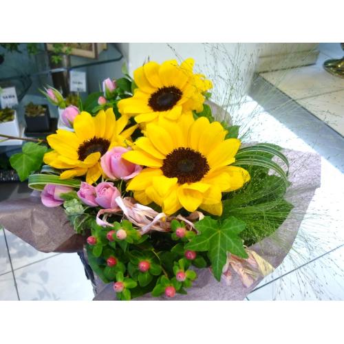 �v���e�B�[�q�}����4