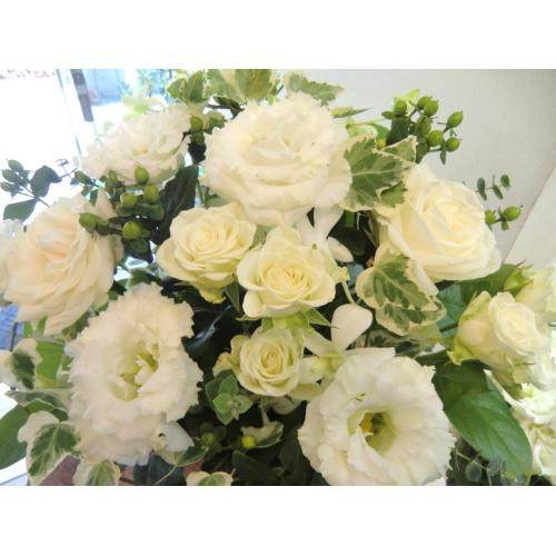 �`Whiite Arrangement�`