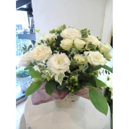 �`Whiite Arrangement�`2