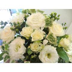 �`Whiite Arrangement�`