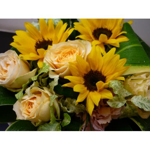 �������̃R�����E�|��������A�����W�����g��