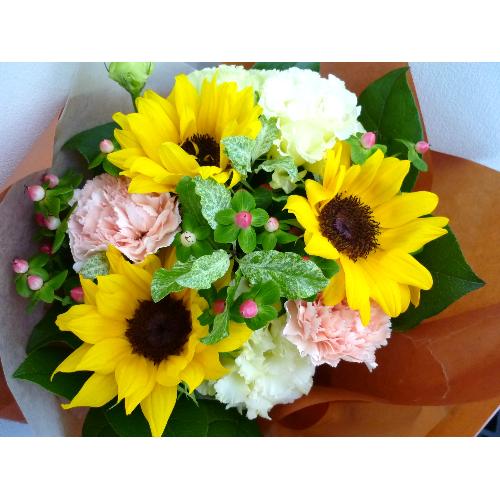 Himawari�u�[�P�`�u���C�ȑ��z�v