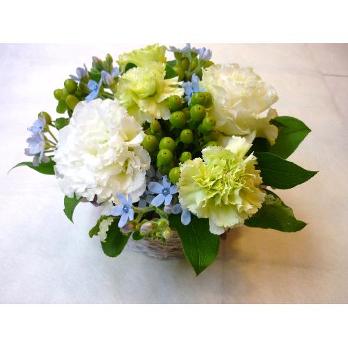�t���b�V���t�����[��4