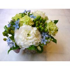 �t���b�V���t�����[��