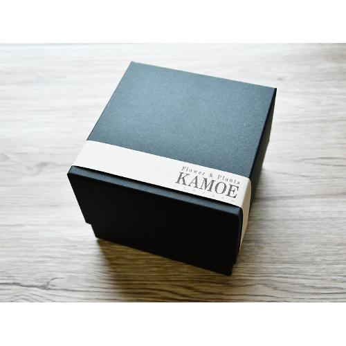 BOX�A�����W�i�O���[���j4