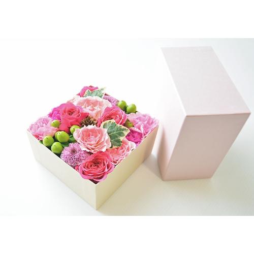 ��������BOX�A�����W�����g�y�s���N�z2