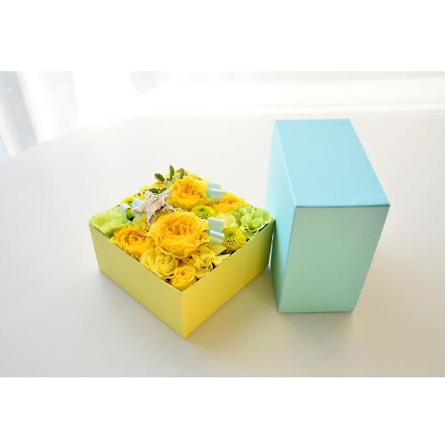 �݂�����BOX�A�����W�����g�y�C�G���[�z