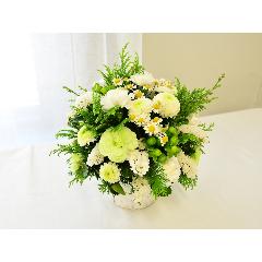 �X�̂�����(���j