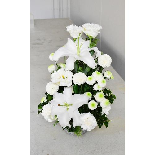 �y�䋟���z�����̓������X�����ȃz���C�g�A�����W2