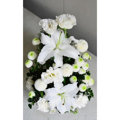 �y�䋟���z�����̓������X�����ȃz���C�g�A�����W4