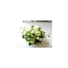 �o�������D���ȕ���