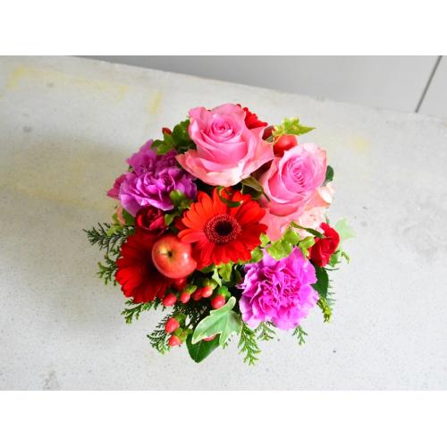 �s���N�ƃ��b�h�̂��킢���؂₩�ȃA�����W