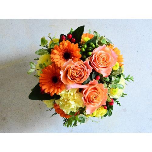 �i�`�������O���[��1