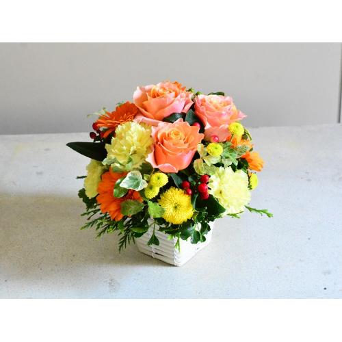 �i�`�������O���[��2