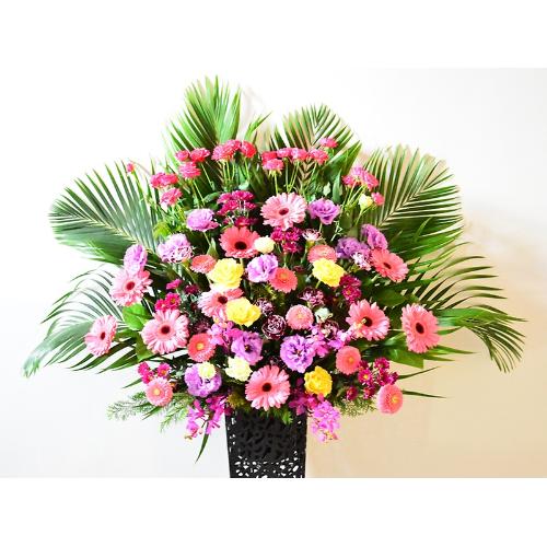 �s���N���b�h�n�̃X�^���h�y��Ȕz�B�n��F�_�ˎs������z3
