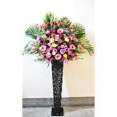 �s���N���b�h�n�̃X�^���h�y��Ȕz�B�n��F�_�ˎs������z