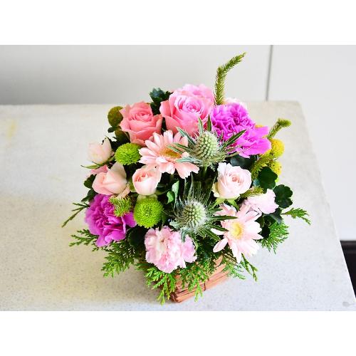 �s���N�̑�l�������E���h�A�����W2