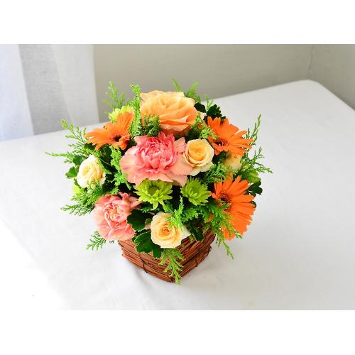 ���邢�I�����W�Ɛ��X�����΂̃A�����W3