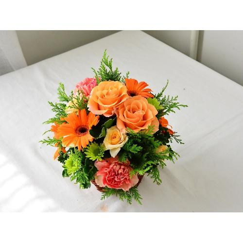 ���邢�I�����W�Ɛ��X�����΂̃A�����W4