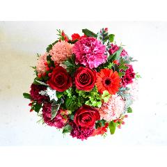 ����ׂ����āA�؂₩���V�b�N�ȃA�����W