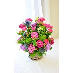 �؂₩�ȃu�����A���g�s���N�̌�j��