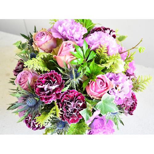 �l�C�̃p�[�v���A�����W4