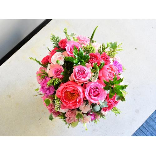 �s���N�O���f�[�V�����̉؂₩�A�����W�����g2
