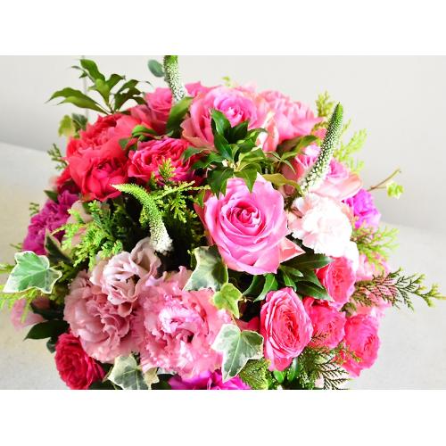 �s���N�O���f�[�V�����̉؂₩�A�����W�����g3