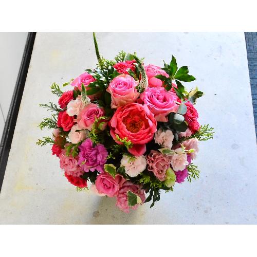 �s���N�O���f�[�V�����̉؂₩�A�����W�����g4
