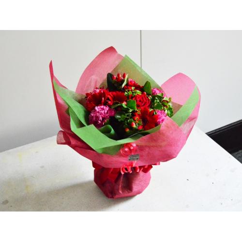 �V���O���J���[�u�[�P�@���b�h4