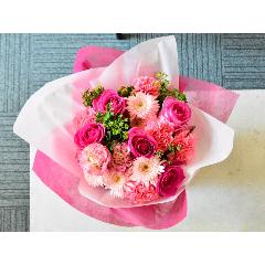 �s���N�̃o�����C���̃s���N�u�[�P