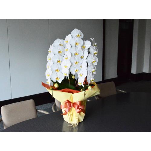 �Ӓ����@���@�R�{����4