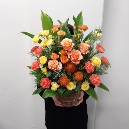 ���F�I�����W�r�r�b�h�̂��j���A�����W4