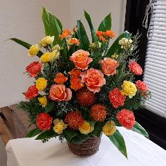 ���F�I�����W�r�r�b�h�̂��j���A�����W