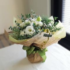 �V���r�[�ȃz���C�g�u�[�P