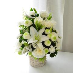 �����̂������@�z���C�g