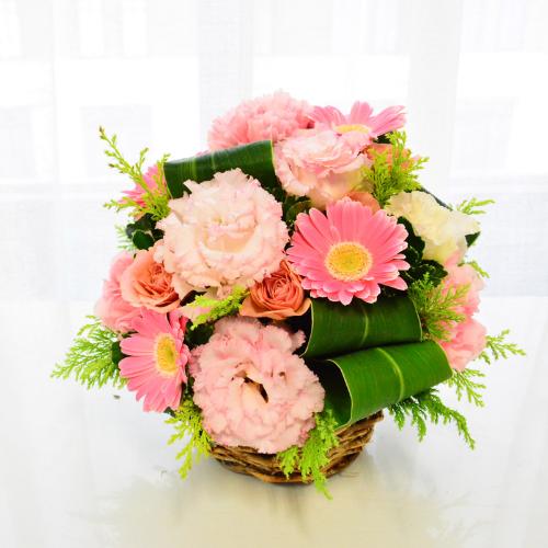 �G���K���g�ŗD�����s���N�̃A�����W�����g2
