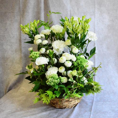 �y�䋟���z����4