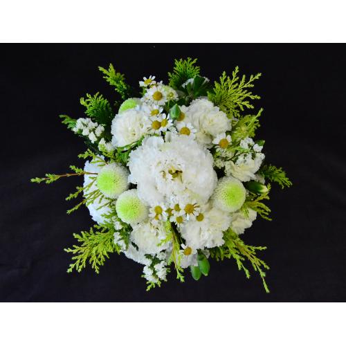 �y�������z�C������͂�������2