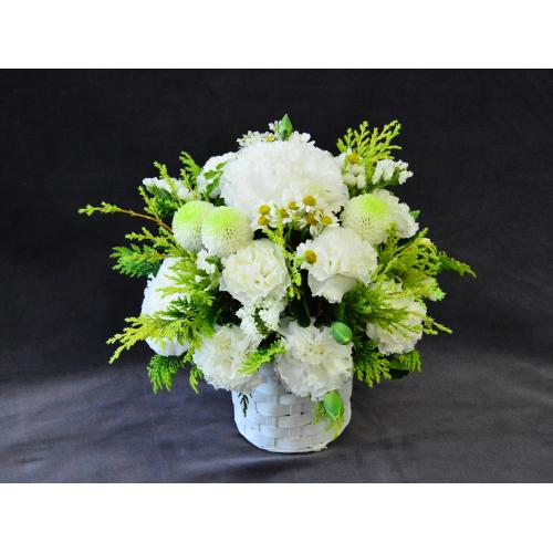 �y�������z�C������͂�������3